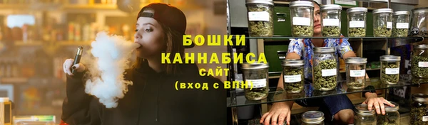 прущие грибы Балахна