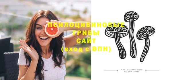 прущие грибы Балахна