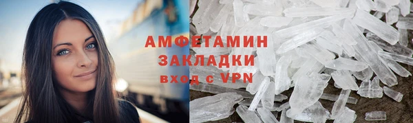 прущие грибы Балахна