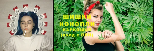 прущие грибы Балахна