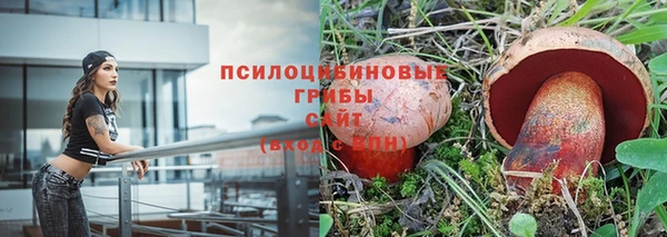 прущие грибы Балахна