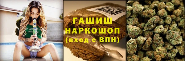 прущие грибы Балахна