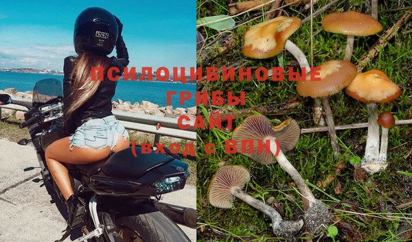 apvp Балабаново